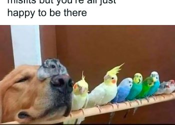 20 Of The Funniest Tumblr Posts That Deserve To Be Seen Again