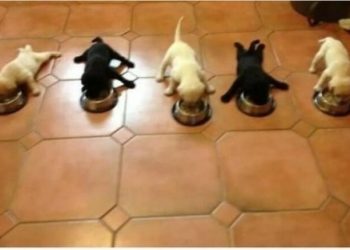 20 Of The Funniest Tumblr Posts That Deserve To Be Seen Again – Part 2