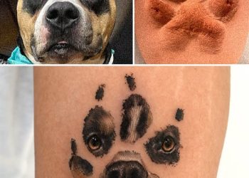 20 Tattoos That Owners Will Cherish Forever As They Feature Realistic Portraits Of Their Pets