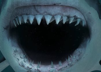 This Video Shows What It Would Be Like to Get Eaten by a Shark