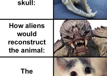 People Compare How Aliens Would Reconstruct Animals Based On Their Skulls Vs. What They Really Look Like
