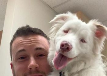 Guy Shows How He Wakes Up His Blind And Deaf Dog Without Scaring Her, Receives Almost 13 Million Likes