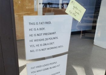 Meet Fat Fred, A Cat Who Is Going Viral After Someone Posted Photos Of A Vet Clinic’s Hilarious Sign