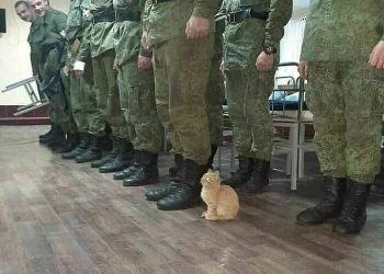 26 Times People Saw Something That Made Them Go ‘Hmmm’ And Just Had To Share It Online